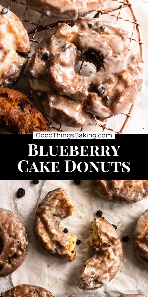 Sourdough Chocolate Cake Recipe, Sourdough Chocolate Cake, Brownie Bowls, Blueberry Cake Donuts, Cake Donuts Recipe, Blueberry Donuts, Fried Dessert, Vanilla Mousse, Homemade Donuts Recipe