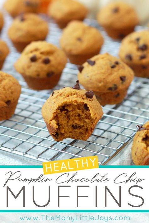 These bite-sized pumpkin chocolate chip muffins are the perfect afternoon snack or make-ahead breakfast. Plus, they’re full of healthy ingredients, so you can feel totally justified in having seconds…or more! Healthy Pumpkin Chocolate Chip Muffins, Greek Yogurt Pumpkin, Pumpkin Yogurt, Greek Yogurt Muffins, Pumpkin Oats, Thanksgiving Breakfast, Yogurt Muffins, Pumpkin Chocolate Chip Muffins, Healthy Muffin Recipes