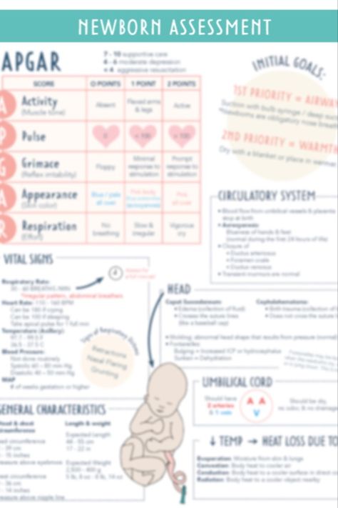 Newborn Assessment Nursing, Postpartum Assessment, Iv Cannulation, Nursing Ob, Cardiac Assessment, Nursing School Success, Newborn Assessment, Clinical Instructor, Med Notes