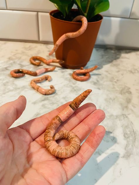 Weird Plant Pots, Clay Worm, Plant Accessories, Weird Plants, Earthworms, Plant Lover Gift, Nature Plants, Weird Art, Indoor Plant