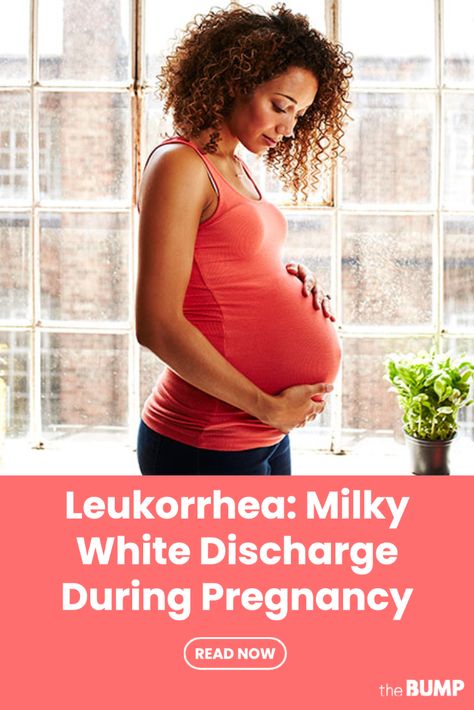 Milky white discharge known as leukorrhea increases in pregnancy. It’s normal, but it can be inconvenient. Learn what leukorrhea looks like, when it starts and how to feel dry. Milky White Discharge, Early Pregnancy Cramps, Pregnancy Third Trimester, Spotting During Pregnancy, Pregnancy Survival Kit, Cervical Mucus, Amniotic Fluid, Early Pregnancy Signs, Pregnancy Hormones