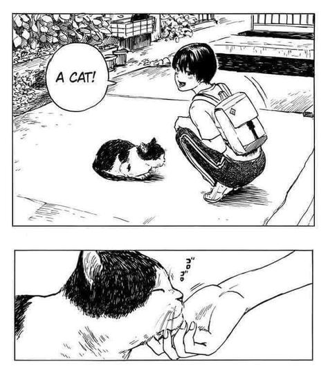 anime_irl : anime_irl Shuzo Oshimi, Blood On The Tracks, Acid Art, Cat Comics, Funny Cat Memes, Cats Illustration, Cat Tattoo, Manga Illustration, Manga Panels