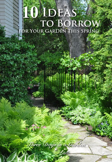 Shade Courtyard Garden, Shade Garden Pathways, Small Courtyard Landscape Ideas, Shade Garden Path, Garden Focal Point Ideas Inspiration, Small Shade Garden Ideas, New Orleans Gardens, Small Secret Garden Ideas, Garden Focal Point Ideas