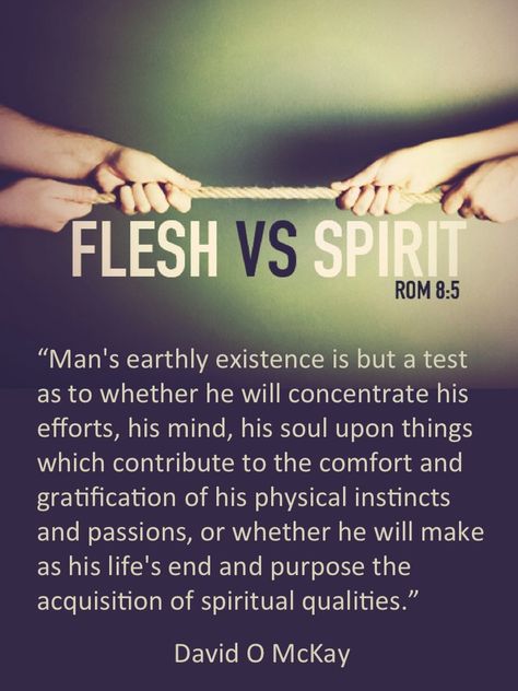 FLESH VS SPIRIT To have eternal life, we "must press forward with a steadfastness in Christ, having a perfect brightness of hope, and a love of God and of all men, and Endure to the End. THIS IS THE WAY. MORE: http://thefamily.com/2015/02/05/flesh-vs-spirit/ Flesh Vs Spirit Quotes, Flesh Vs Spirit, Bad Fruit, Pray About It, Bible Reading Plan, Girls Camp, Love Of God, Spiritual Warfare, The Flesh