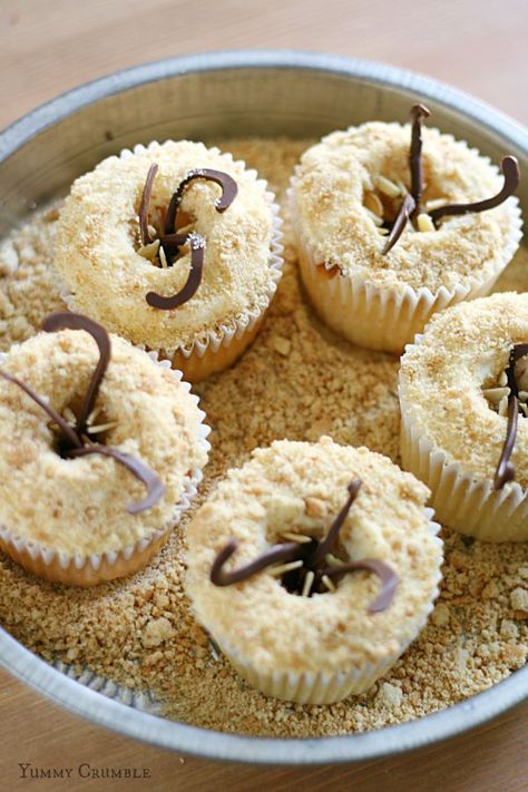 Kathleen Siegle made a batch of cupcakes that resemble a Sarlacc -the horrible, man-eating monster buried in the sands of Tattooine in the movie Return of the Jedi. The sand is really graham cracker crumbs, the tentacles are chocolate, and the teeth are almond slivers. Yum! Star Wars Snacks, Nerd Food, Star Wars Party Food, Star Wars Cupcakes, Star Wars Cookies, Chocolate And Vanilla Cake, Star Wars Food, Man Eating, Geek Food