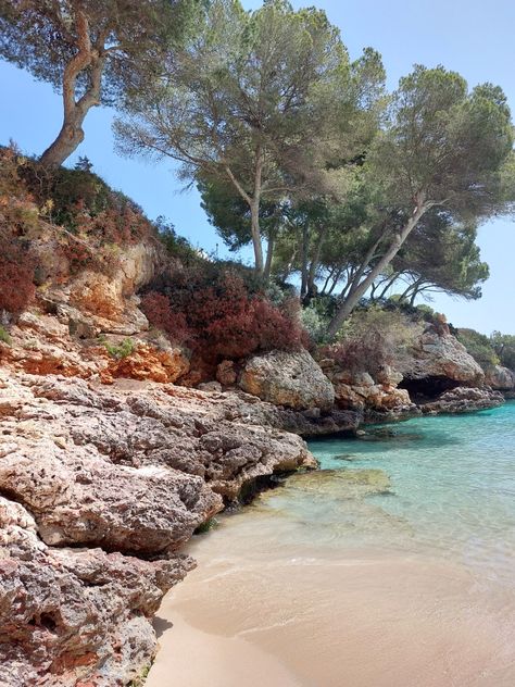 Cala Ferrera Mallorca, Cala Dor Majorca, Cala D'or Mallorca, Women Retreat, Twenty Twenty, Womens Retreat, Dream Places, Majorca, Holiday Destinations