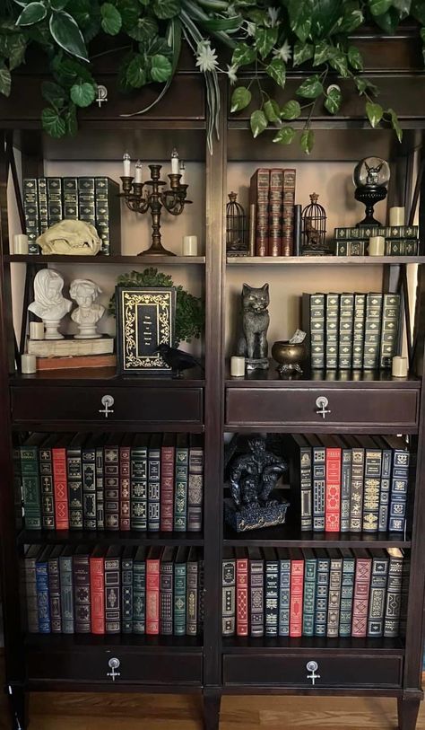 Witchy Modern House, Interior Design Academia, Dark Apartment Asthetics, Dark Forest Aesthetic Decor, Whimsigothic Library, Library Decor Aesthetic, Dark Academia Aesthetic House Decor, Dark Green Room Aesthetic Vintage, Dark Post Modern Interior Design