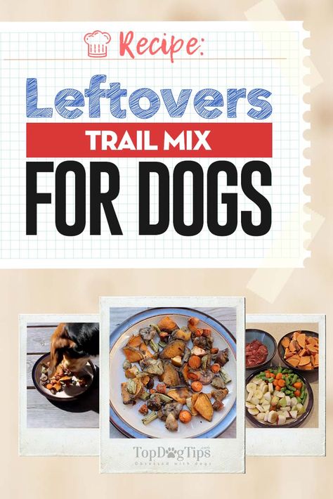 Homemade Leftovers Trail Mix for Dogs Recipe and Video Dog Trail Mix Recipe, Trail Mix Recipe, Pup Treats, Homemade Pet Treats, Trail Mix Recipes, Dog Treats Homemade, Dog Treats Homemade Recipes, Treats Recipes, Dog Things