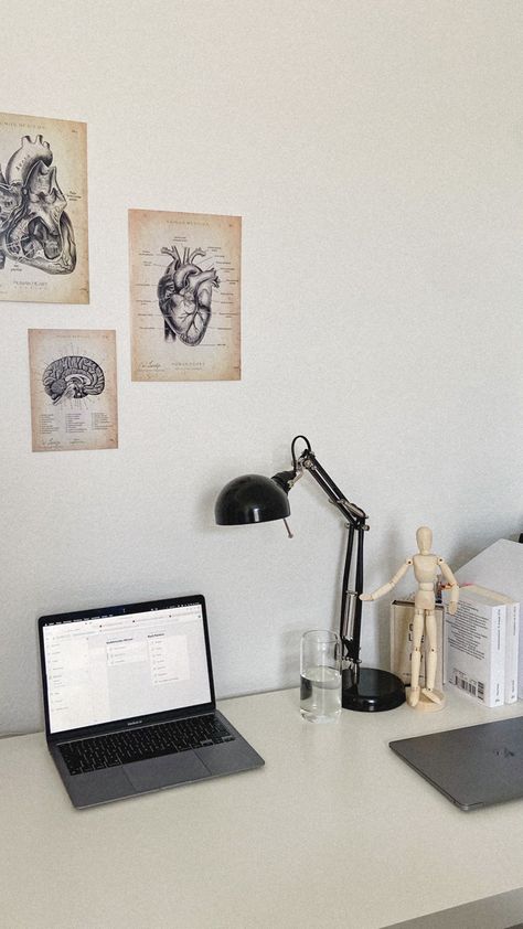 Medical Student Bedroom Ideas, Med Student Room Aesthetic, Med School Room Decor, Med Student Room Decor, Medical Student Room, Med Student Desk Aesthetic, Desk Medical Student, Studying Medicine Aesthetic Wallpaper, Med Student Room