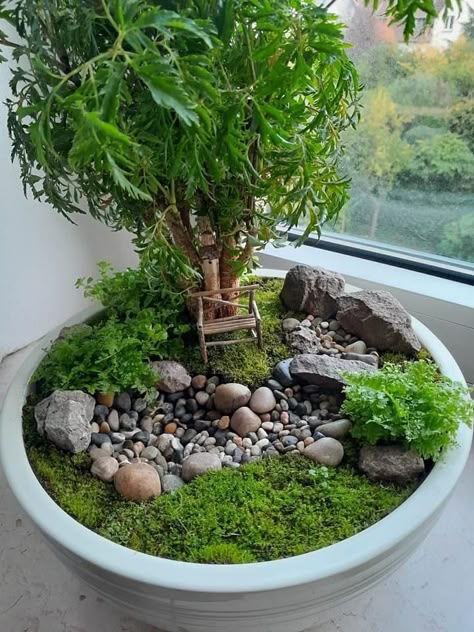 Mini Bonsai Garden Ideas, Japanese Garden Terrarium, Bonsai Miniature Garden, Zen Mini Garden, Miniature Fairy Gardens Terrarium, Mini Zen Garden Ideas, Mini Japanese Garden, Jardin Zen Miniature, Mini Jardin Zen