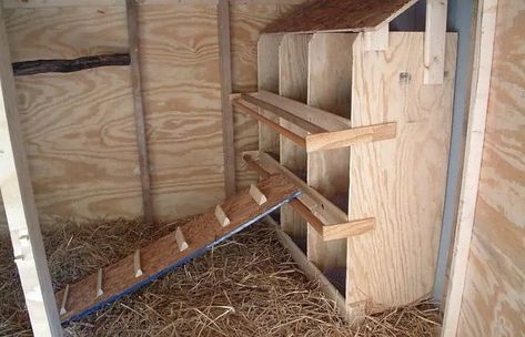 34 Epic Chicken Roost Ideas For A Lovely Chicken's Bed Inside Chicken Coop, Cheap Chicken Coops, Chicken Roost, Nest Boxes, Chicken Nesting Boxes, Coop Design, Coops Diy, Chicken Coop Designs, Coop Plans