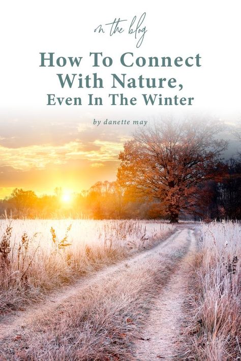 If your first instinct is to stay inside, bundled up, when it’s cold out, you are not alone. But consider this: wintertime is actually a magical time to connect with nature. ❄ Come see how connecting with nature in the winter can do you -- and everyone around you -- a whole lot of good. How To Connect To Nature, Reconnecting With Nature, Forest School Winter Activities, How To Be More Connected To Nature, Connecting To Nature, Workouts Outside, Danette May, Connecting With Nature, Connect With Nature