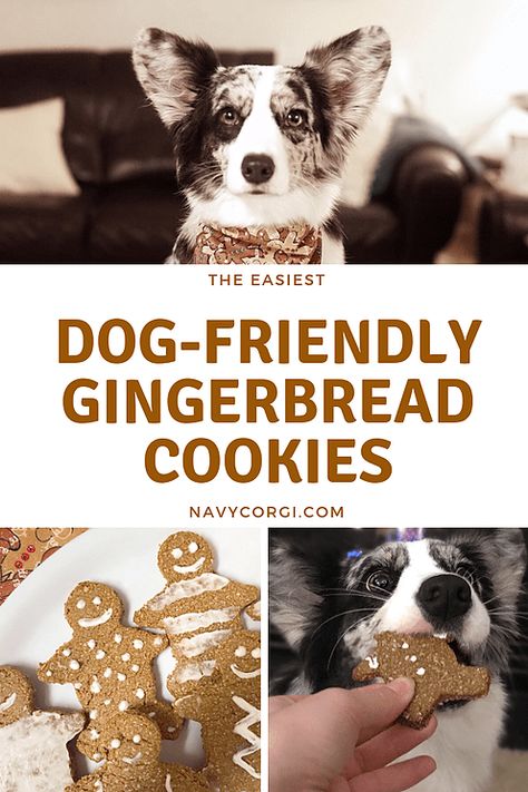 Holiday Baked Goods, Homemade Pet Treats, Pet Treats Recipes, Christmas Dog Treats, Easy Dog Treat Recipes, Dog Biscuit Recipes, Easy Dog Treats, Healthy Dog Treats Homemade, Dog Treats Homemade Recipes