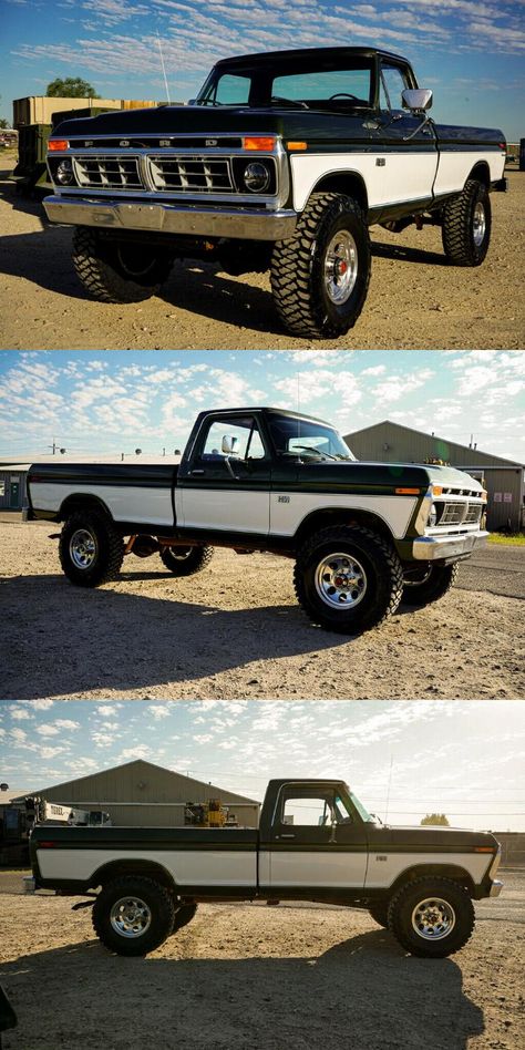 1976 Ford F-250 Highboy vintage [pristine shape] 1976 F250, 1999 Ford F150, 1976 Ford Truck, 1977 Ford F250 Highboy, Ford Trucks Old, Ford 1979 Pickup, 1989 Ford F150, Old Ford Trucks F100, Dentside Ford