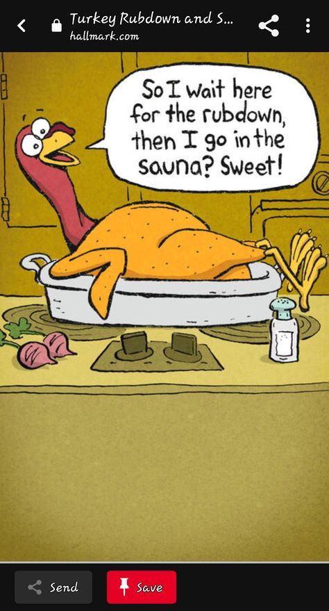 Happy Thanksgiving Quotes Friends, Funny Turkey Pictures, Funny Thanksgiving Pictures, Turkey Pictures, Thanksgiving Puns, Happy Thanksgiving Pictures, Thanksgiving Jokes, Holiday Jokes, Thanksgiving Clip Art