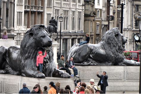 Climb the lions at Trafalgar Square Trafalgar Square Lions, Uk Sightseeing, Trafalgar Square London, Oxford Street London, Gray Gardens, London With Kids, Stone Lion, Fu Dog, Lion Love