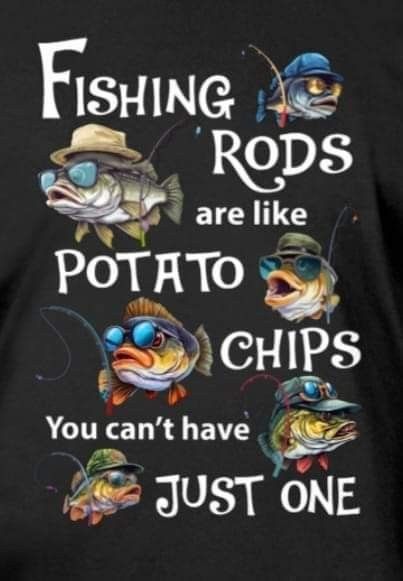 Funny Fishing Pictures, Bass Fishing Pictures, Fishing Signs, Fishing Pictures, Bass Boat, Funny Fishing, Gone Fishing, Fishing Humor, Fishing Tips