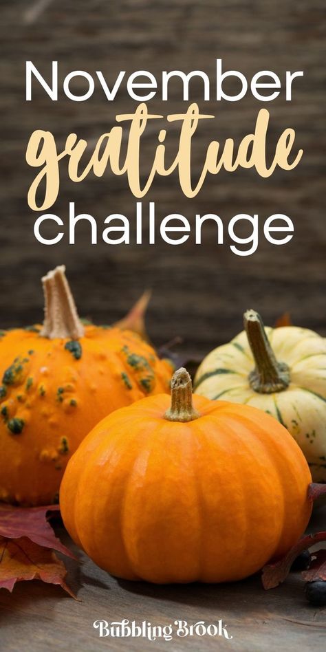 November Bible Challenge, Grateful Challenge 30 Day, November Grateful Challenge, 30 Days Of Gratitude Challenge, Gratitude Challenge 30 Day, November Challenge 30 Day, November Thankful Challenge, November Gratitude Challenge, Thankful Challenge