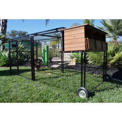 The Polk Spring Fling Mobile Chicken Coop with Chicken Run is made from welded wire. This Mobile coop has built-in wheels for ease of mobility and is a complete pen with a built-in extra large 3-hole nest box. This chicken tractor is ideal for moving your chickens around your yard allowing them to free-range and fertilize your yard on a daily basis. There is a rear door on the nesting box for you to retrieve your eggs without having to enter the cage and a perch in front of the nesting box for t Chicken Tractor Coop, Mobile Chicken Run, Mobile Coop, Nesting Box Size For Chickens, Chicken Tractor With Nesting Boxes, Large Portable Chicken Coop, Chicken Coop With Multiple Runs, Moveable Chicken Coop, Metal Frame Chicken Coop