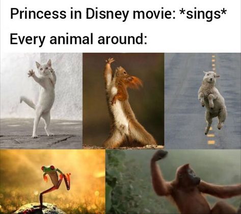 Horrified Reaction Pic, Dance Memes, Funny Memes About Girls, Funny Disney Memes, Funny Disney Jokes, Disney Jokes, Funny Animal Jokes, Some Funny Jokes, Disney Memes