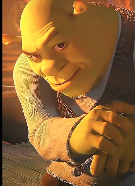 Shrek Light Skin Stare, Shrek Side Eye, Shrek Reaction, Stank Face Meme, Shrek Funny Face, Shrek Smirk, Shrek Pfp, Handsome Shrek, Shrek Memes Funny