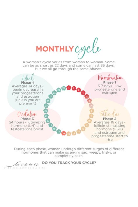 Women Hormone Cycle, Low Lh Hormone, Hormone Cycle Chart, Hormone Type 2 Workout, Female Cycle Phases, Luteal Phase Activities, 4 Phases Of Menstrual Cycle, Follicular Phase Workout, Leutal Phase