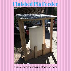 Pig Feeders Diy Ideas, Diy Pig Feeder, 4h Animals, Mini Pig Care, Sheep Feeders, Pig Feeder, Pig Waterer, Horse Pens, Pig Showing