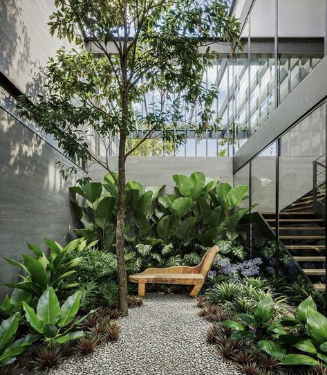 Foyer Plants Entrance, Tropical Planting, Shade Planting, Sophisticated Garden, Taman Mini, Residential Garden, Pocket Garden, Courtyard Landscaping, Tropical Backyard