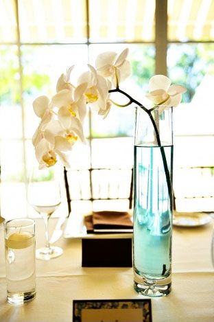 orchard centerpiece.. so simple just add colored water! Single Orchid Centerpiece, Orchid Centerpiece, Orchids In Water, Orchid Flower Arrangements, Destination Wedding Caribbean, Patio Areas, Orchid Centerpieces, Colored Water, Table Piece