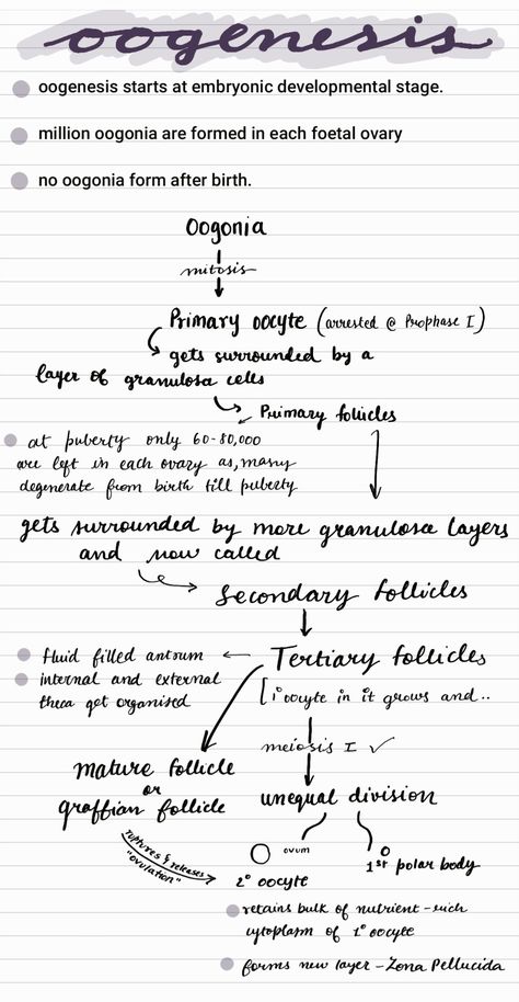 Isomerism Notes Class 11, Neet 2025 Syllabus, Neet Biology Notes, Bio Diagrams, Class 12 Biology Notes, Neet 2025, Biology Class 12, Basic Biology, Neet Preparation