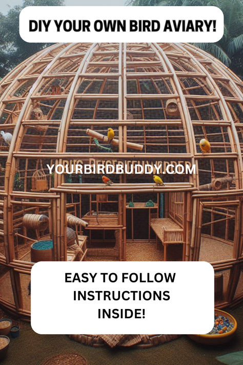 Thinking about how to build a bird aviary or upgrading your current one? The secret is in the planning. Choose the right size, location, and design to make your backyard bird aviary perfect. You want a place that is a home for your birds and brings you joy. Indoor Bird Aviary Ideas, Home Aviary Ideas, Small Aviary Ideas Outdoor, Outdoor Aviary Ideas, Bird Aviary Ideas Outdoor, Indoor Bird Room Ideas, Aviary Ideas Outdoor, Backyard Aviary, Bird Aviary For Sale