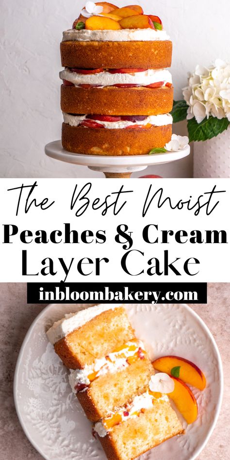 This is a moist and tender vanilla cake filled with fresh peaches and vanilla bean whipped cream topped with fresh peach syrup. Vanilla Peach Cake Recipe, Peach Flavored Cake, Peach Chantilly Cake, Peach Cake With Fresh Peaches, Peaches N Cream Cake, Peaches And Cream Layer Cake, Peaches And Cream Cake Filling, Vanilla Cake With Peach Filling, Peach Pie Cake