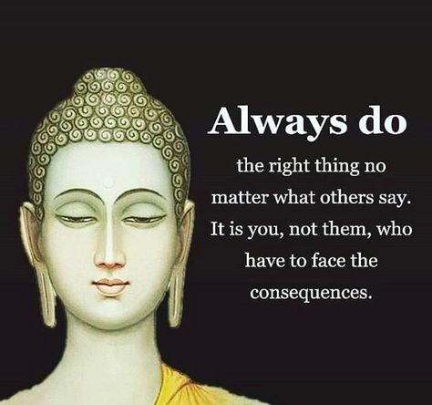 MotivationInfinity on Instagram: “🙏 follow us now @motivationalinfinity ❤️ . 👇Tag someone below who would like this post!! . ❤️what is your experience with meditation? .…” Clear Conscience Quotes, Conscience Quotes, Clear Conscience, Are You Experienced, Manifestation Affirmation, African Proverb, Buddha Teachings, Happy Buddha, Buddha Quote