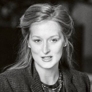 Johns’s 1980 portrait of Meryl Streep Meryl Streep Movies, Kramer Vs Kramer, Edie Sedgwick, Dustin Hoffman, Robert Rauschenberg, Classic Portraits, Image Film, George Carlin, Margaret Thatcher