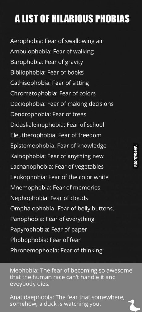 Apparently these exist. Fear Of School, Weird Fears, Phobia Words, Interesting English Words, Writing Dialogue, Rare Words, Cool Facts, Book Writer, Learn English Vocabulary