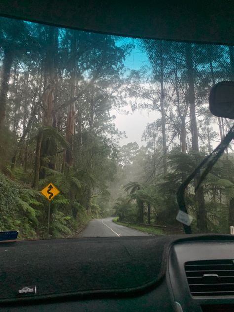 Rainy Pnw Aesthetic, Forest Adventure Aesthetic, Kennedycore Aesthetic, Pacific Northwest Aesthetic, Northwest Aesthetic, Pnw Aesthetic, Rainy Forest, Adventure Aesthetic, Winter Aesthetic