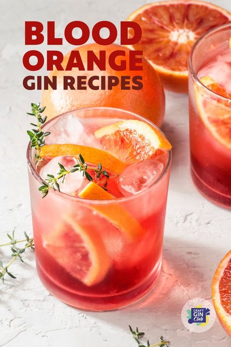 Orange Gin Drinks, Red Gin Cocktails, Orange Gin Cocktail Recipes, Gin Orange Cocktails, Blood Orange Gin Cocktail, Gin Mixed Drinks, Gin Ideas, Blood Orange Recipes, Blood Orange Cocktail