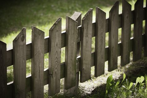 Short Picket Fence Ideas, Short Wooden Fence Ideas, Wood Garden Fence Ideas, Short Garden Fence Ideas Diy, Diy Short Fence, Diy Garden Fence To Keep Dog Out, Short Garden Fence Ideas, Short Picket Fence, Short Garden Fence