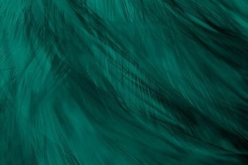 Beautiful dark green viridian vintage color trends feather texture background vectors, photos and PSD files | Free download Green Viridian, Viridian Green, Feather Texture, Colour Shades, Vintage Color, Texture Background, File Free, Psd Files, Color Shades