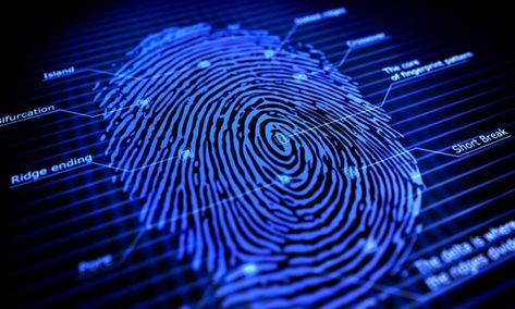 Fingerprints have long been a subject of fascination for scientists, investigators, and the general public alike. These unique patterns on our fingertips have played a significant role in forensic investigations, personal identification, and even smartphone security. In this article, we will delve into the captivating world of fingerprints, exploring their origins, classifications, and the science […] The post The Fascinating Science of Fingerprints appeared first on TechBullion. Dna Fingerprinting, Forensic Science, Fingerprint Reader, Finger Print Scanner, Science Education, Law Enforcement, Chennai, Fingerprint, Laptop