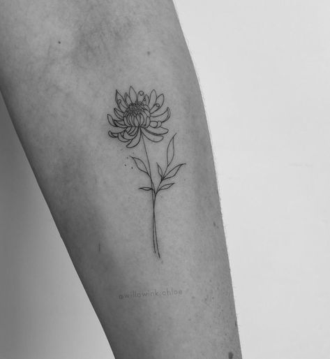 Chrysanthemum Tattoo Design: A Timeless Symbol of Beauty and Strength Chrysanthemums Tattoo Minimalist, Chrysanthemums Flower Tattoo, Chrsanthym Tattoo, Crysantenum Flower Tattoo Design, Chrysanthemum And Peony Tattoo, Chrisantem Tattoo, Simple Chrysanthemum Tattoo, Fine Line Chrysanthemum Tattoo, Clover Flower Tattoo