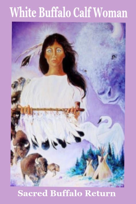 White Buffalo Woman, White Buffalo Calf Woman, Native American Rituals, Supernatural Drawings, Native American Woman, Native American Wisdom, Native American Paintings, Native American Images, Native Language