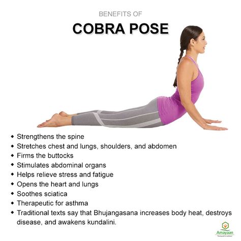 Cobra Pose Open the heart and roll the shoulders down to promote flexibility in Cobra Pose. Cobra Stretch, Cobra Pose Yoga, Yoga Facts, Info Board, Wellness Yoga, Cobra Pose, Yoga Moves, Relaxing Yoga, Health And Fitness Articles