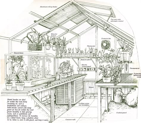 greenhouse 2 Floor Greenhouse, Greenhouse Section Architecture, Greenhouse Design Plans, Greenhouse Blueprints Design, Greenhouse Inside Layout, Green House Blueprint, Greenhouse Floor Plans, Greenhouse Doodle, Greenhouse Floor Plan