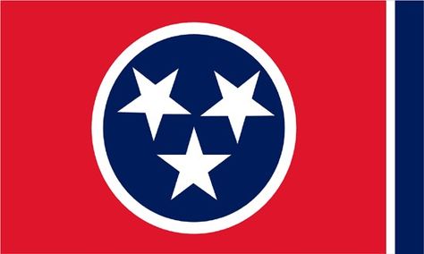 TENNESSEE State Flag - Nickname "The Volunteer State" Tennessee Artwork, Usa Facts, Tennessee State Flag, South Usa, Tennessee Flag, State Flowers, State Quarters, Tennessee State, Rocky Top