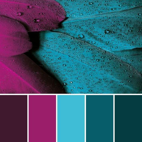 Jewel Tone Color Pallete, Cool Tone Bedroom Color Pallets, Jewel Tone Color Palette Interior, Fuschia Color Palette, Jewel Tone Interior Design, Blue Combination Color, Jewel Tones Color Palette, Jewel Tone Color Scheme, Jewel Tone Color Palette