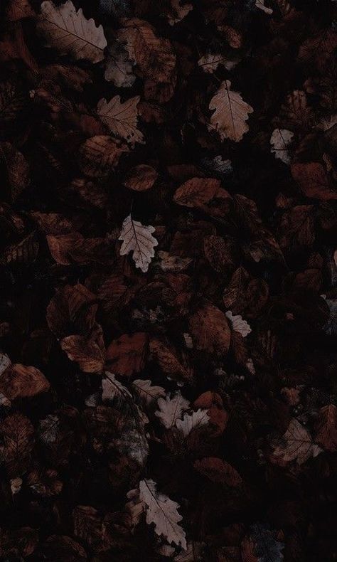 Modern Christmas Wallpaper, Christmas Wallpaper Aesthetic Iphone, Wallpaper Dark Academia, Dark Academia Wallpaper, Purple Flowers Wallpaper, Wallpaper Purple, Academia Wallpaper, Dark Autumn, Wallpaper Dark