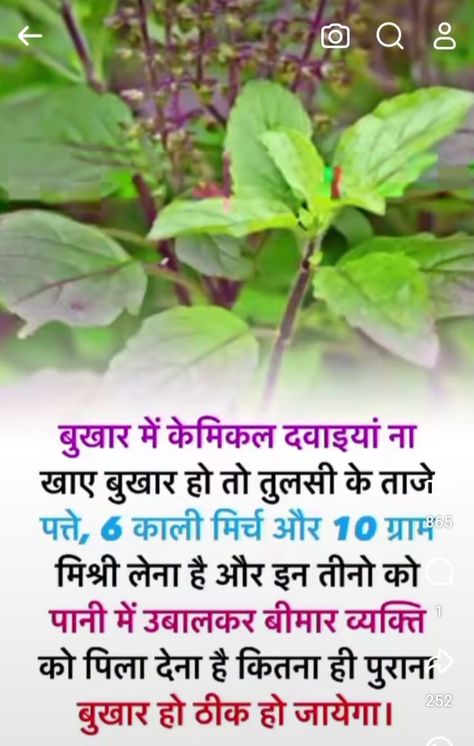 Ayurvedic Skin Care, Health Care Tips, Health Chart, Mantra For Good Health, Tips For Happy Life, Healthy Facts, Food Health Benefits, Amazing Facts For Students, Ayurvedic Remedies