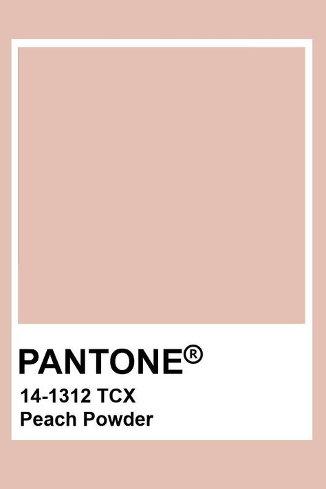 Pantone Dusty Rose, Blush Pink Pantone, Peach Pantone, Peachy Palette, Color Theories, Dark Peach Color, Peach Powder, Peach Paint, Painting Colour