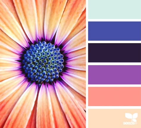 Design Seeds Color Palette, Seeds Color Palette, Seeds Color, Color Concept, Color Catalog, Color Schemes Colour Palettes, Color Palate, Design Seeds, Color Palette Design